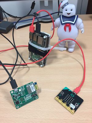 The first Seek design using a linked Raspberry Pi and Micro:Bit.